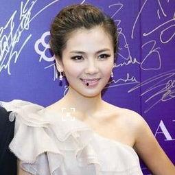 刘涛个人资料身价,实力派演员与歌手，财富与人气并重的璀璨明星