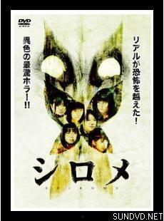 安西诗织个人资料