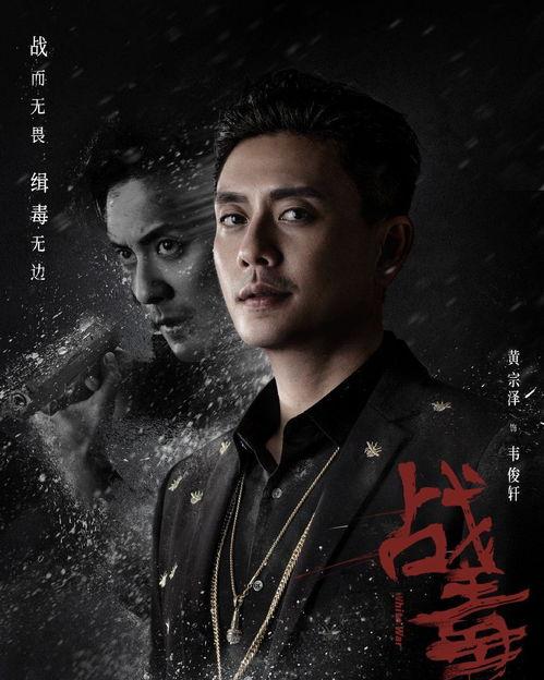 战毒电视剧背景,卧底风云，生死较量